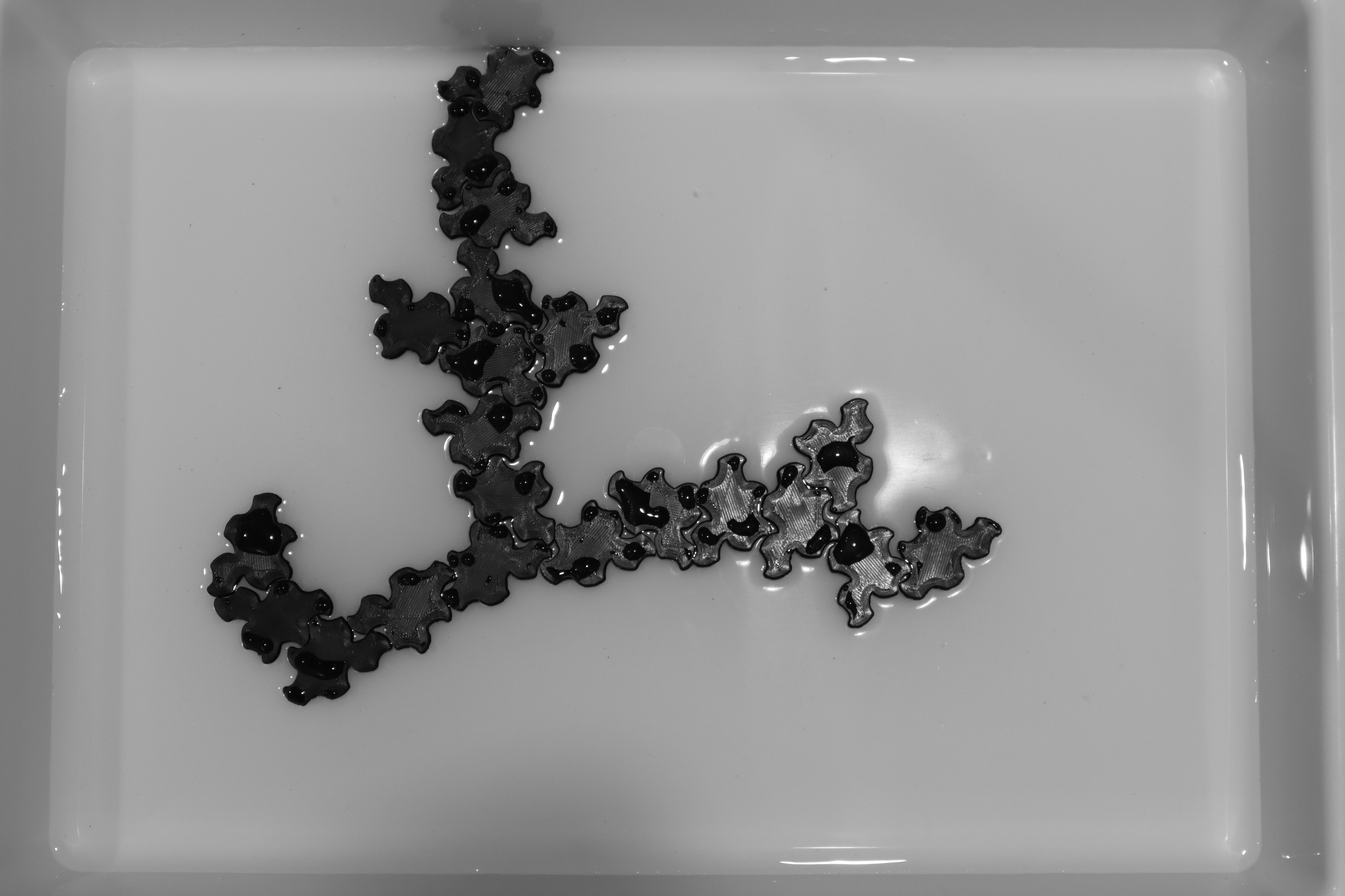 photo of the experiment