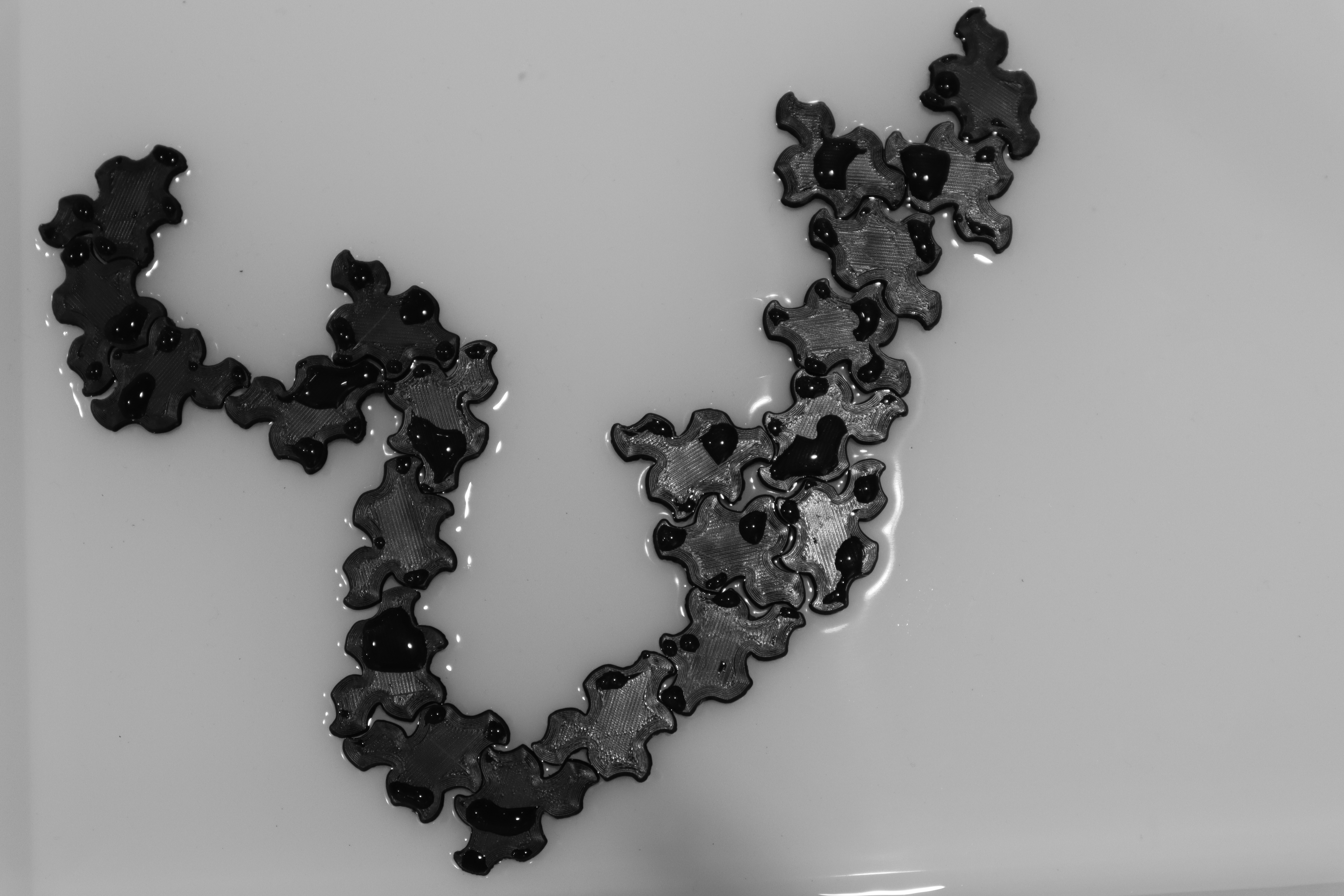 photo of the experiment